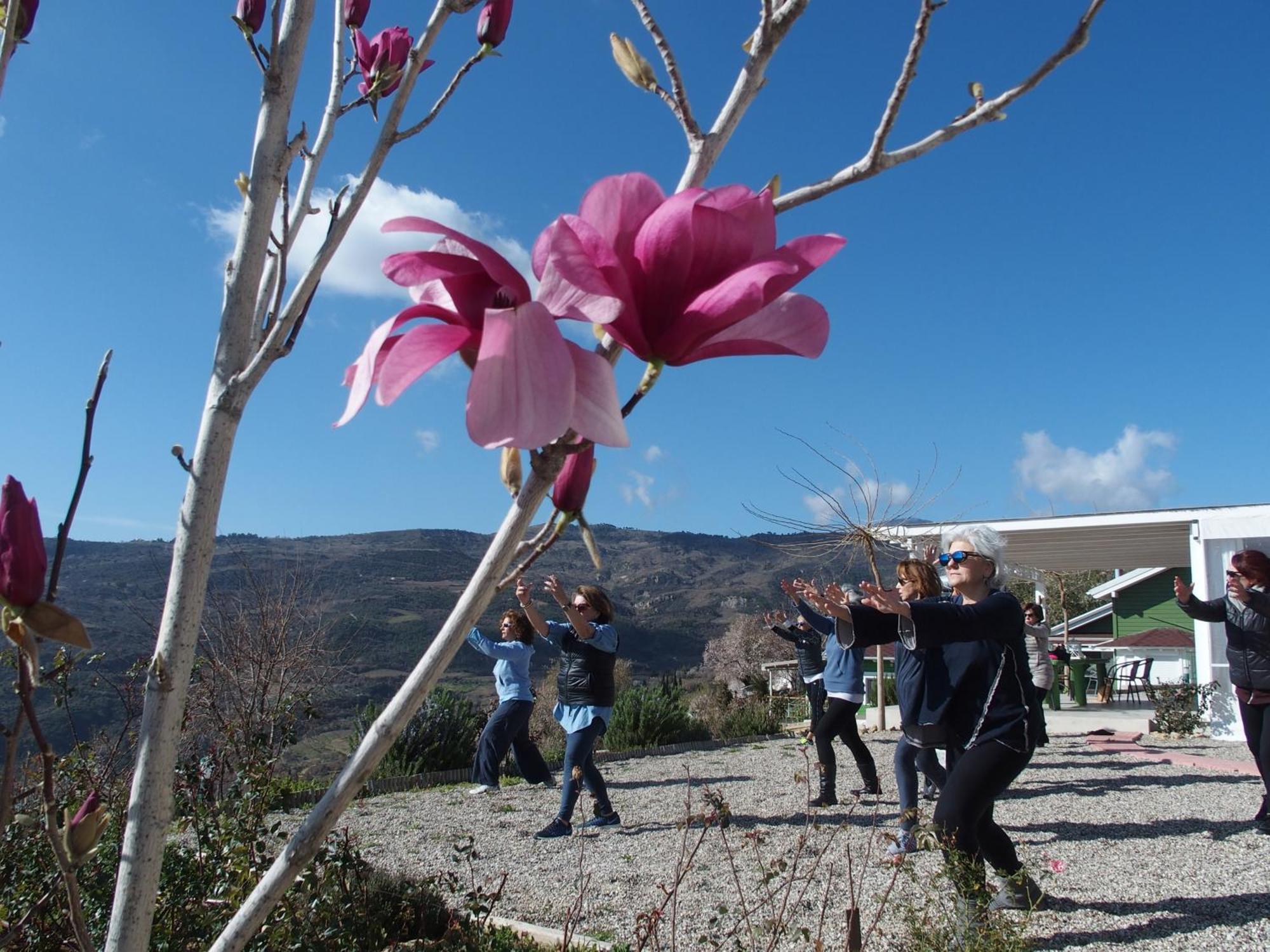 Ktima Noosfera Wellness & Retreat Center Hotel Karya Buitenkant foto