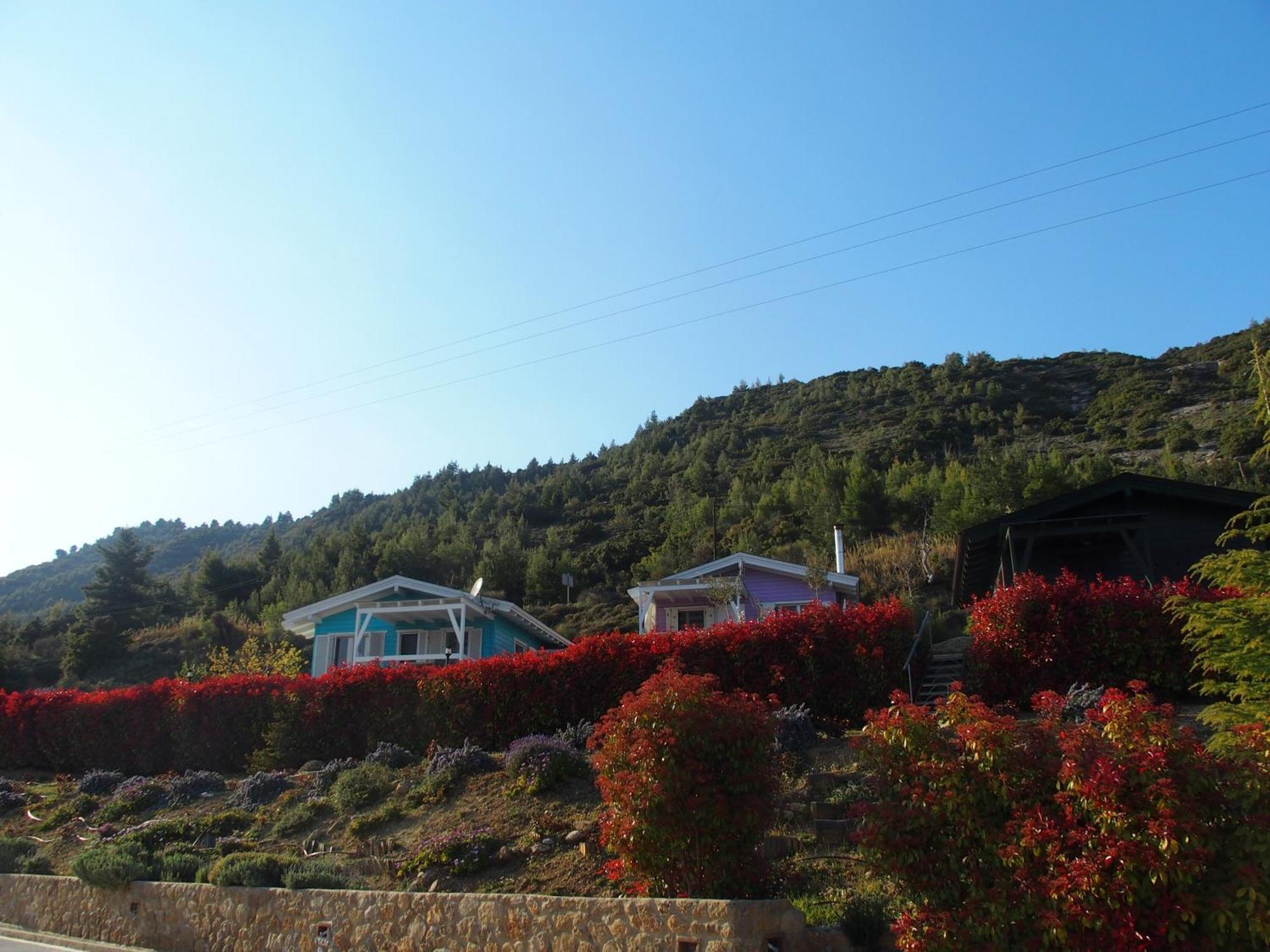 Ktima Noosfera Wellness & Retreat Center Hotel Karya Buitenkant foto